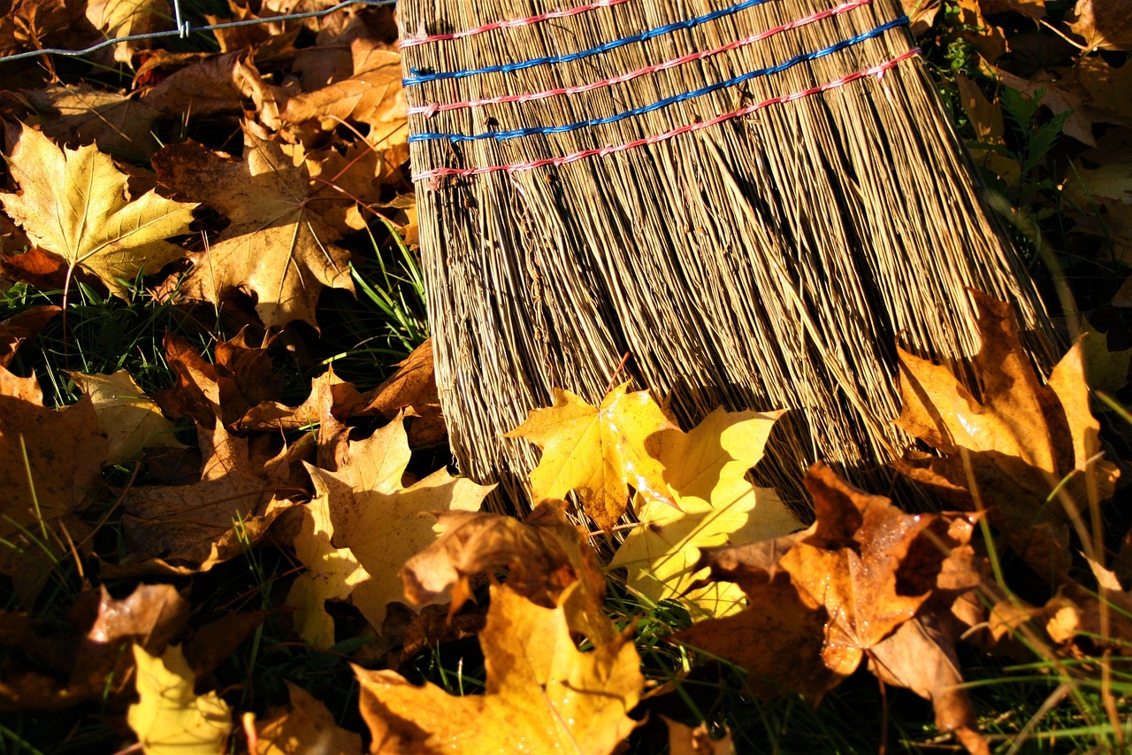 yellow leaves, autumn gold, autumn-2919183.jpg